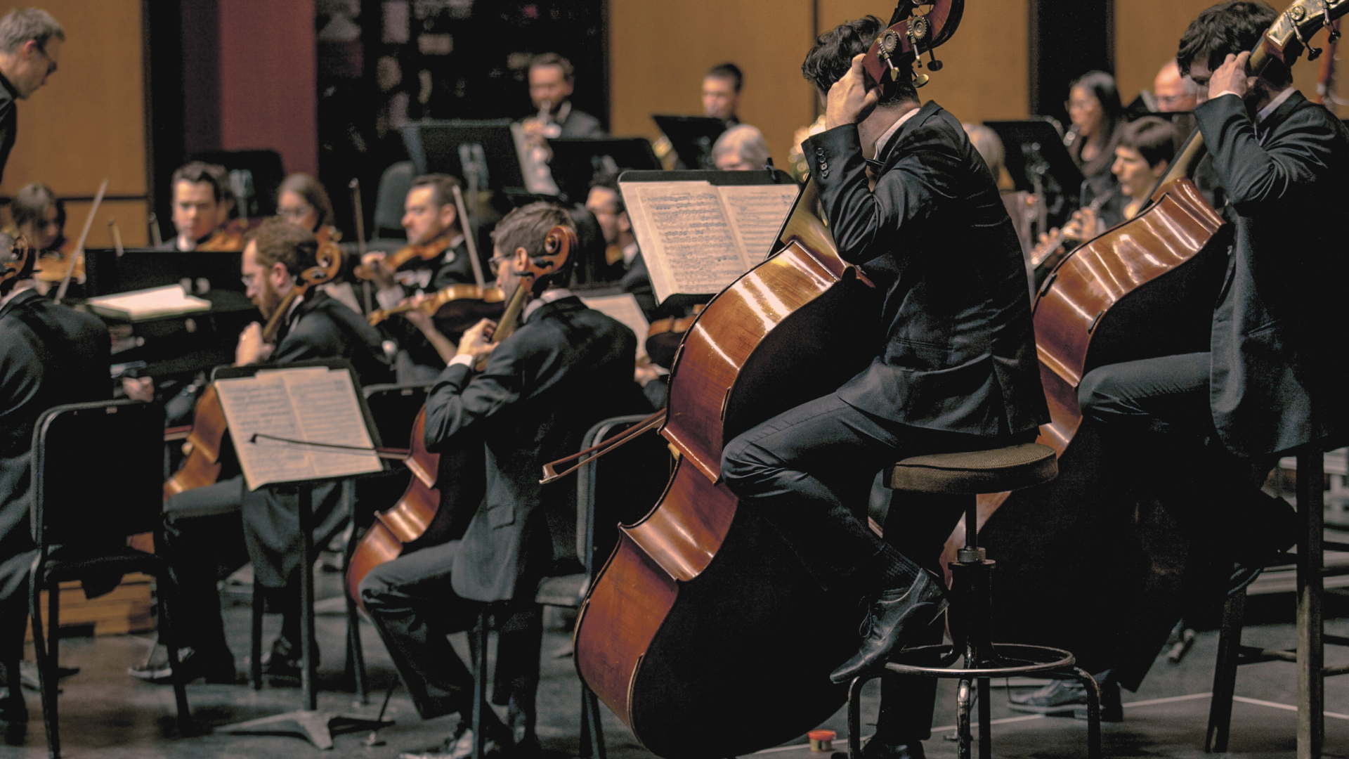 Symphony Orchestra